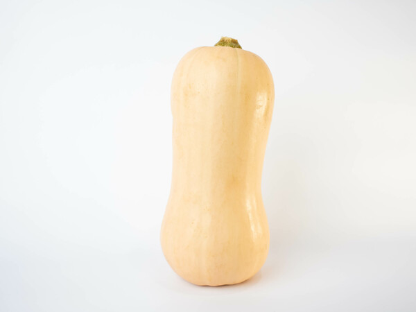 Butternut Squash