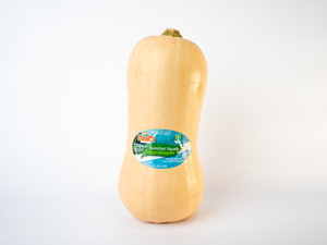 Butternut Squash