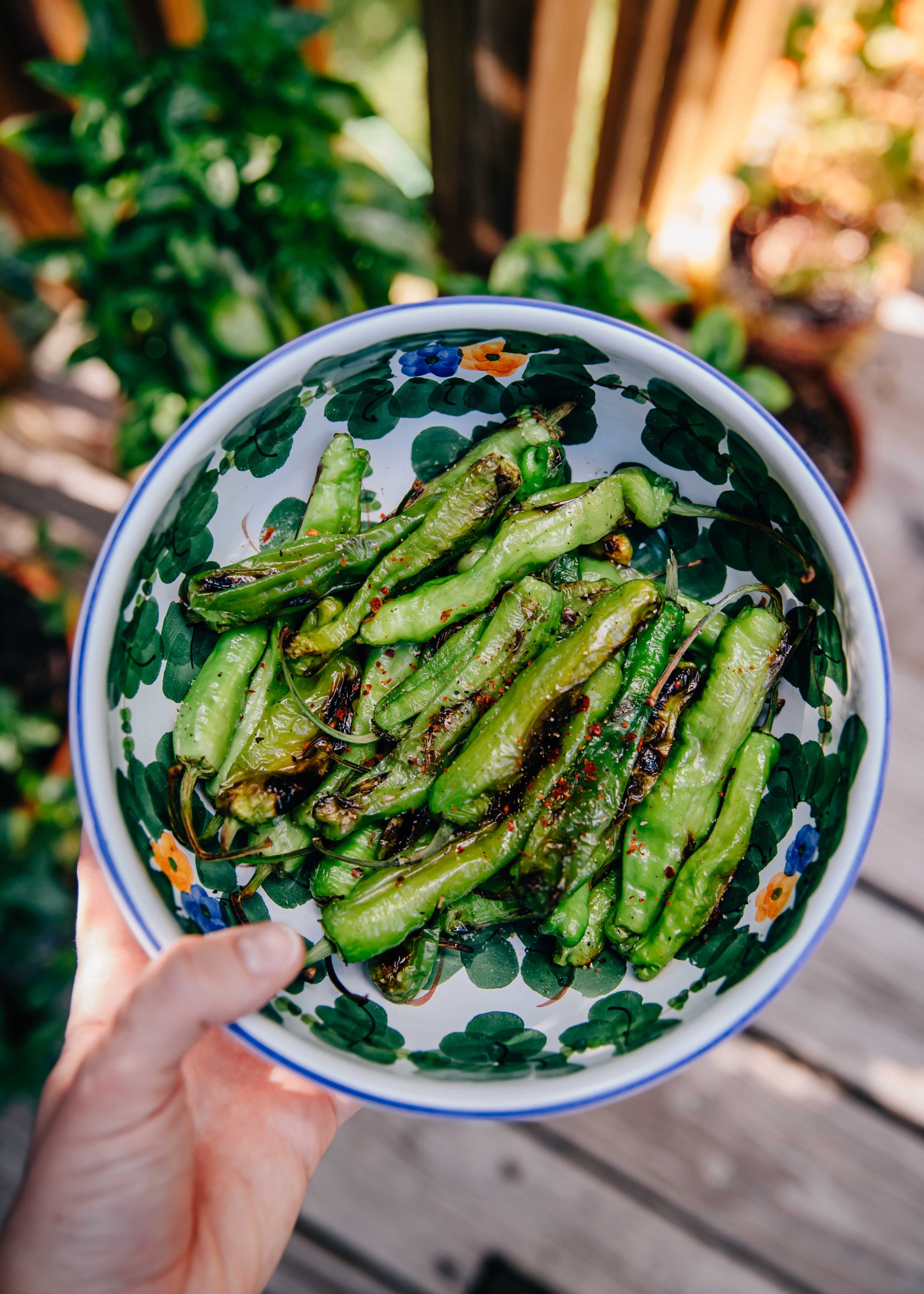 Charred Shishito and Creamy Soy-Lime Dipping Sauce
